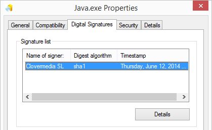 java.exe-signature